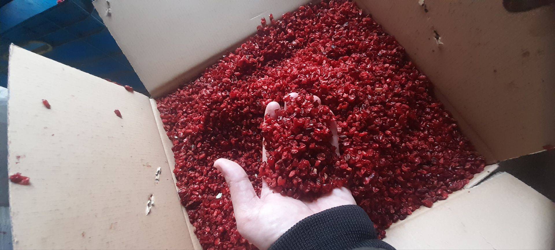 فروش و تامین زعفران و زرشک و عناب عطرین خراسان در قائنات