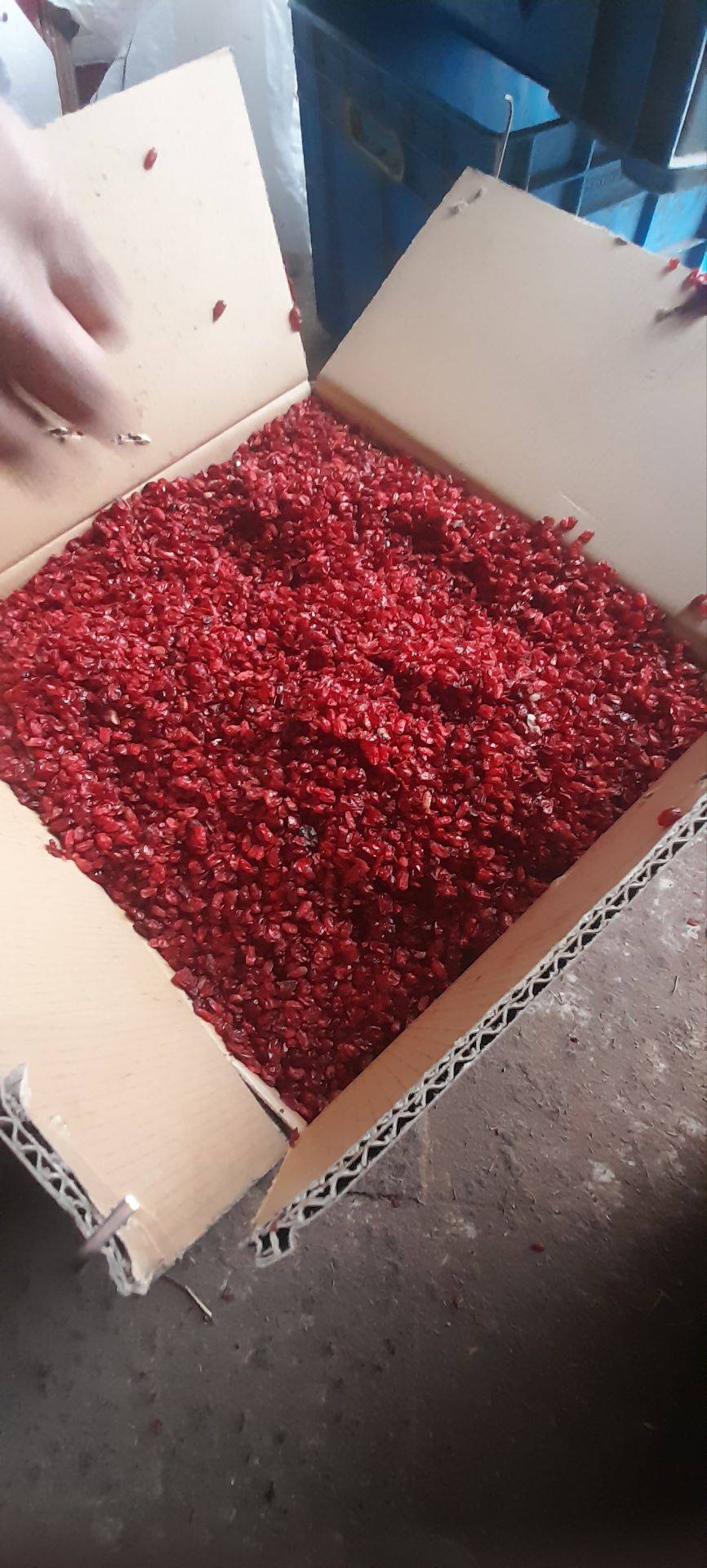 فروش و تامین زعفران و زرشک و عناب عطرین خراسان در قائنات