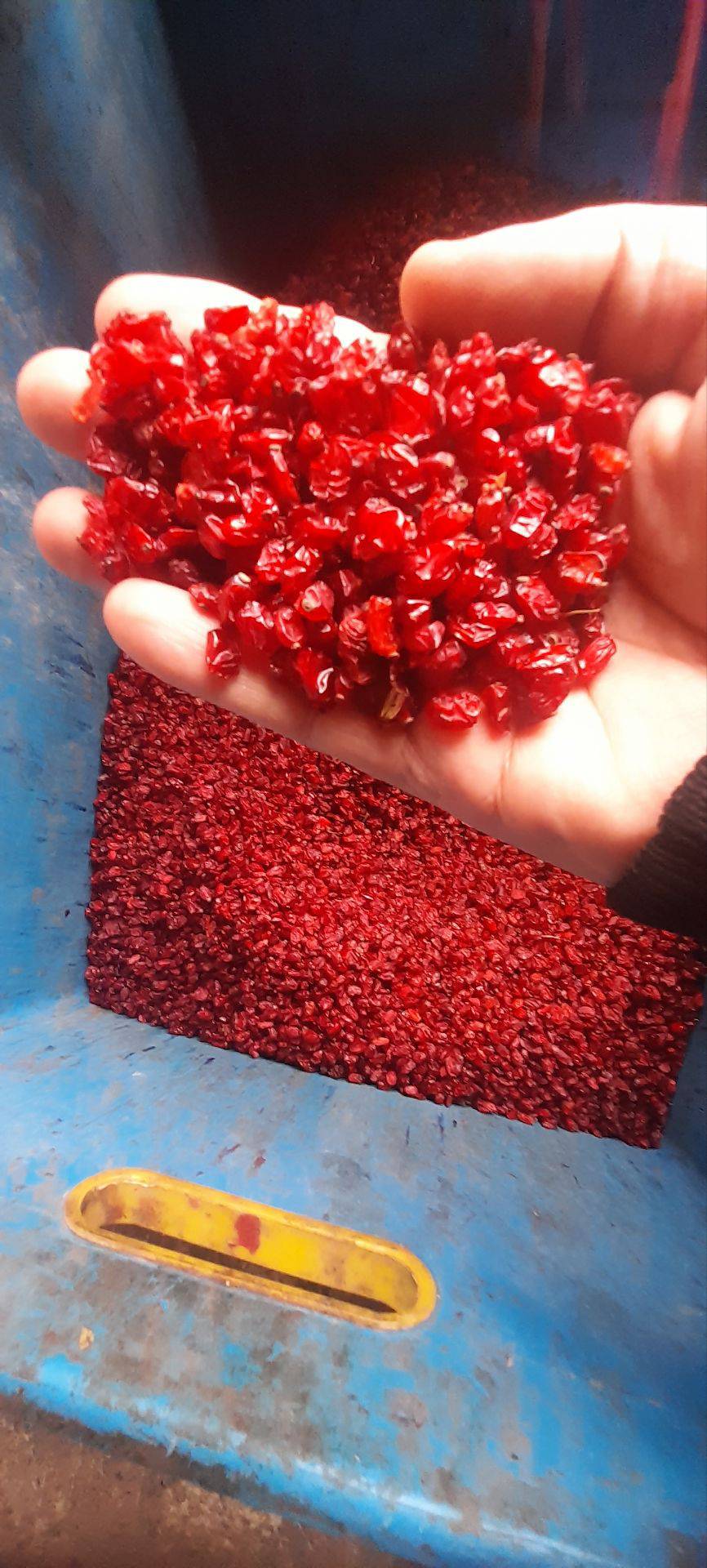 فروش و تامین زعفران و زرشک و عناب عطرین خراسان در قائنات