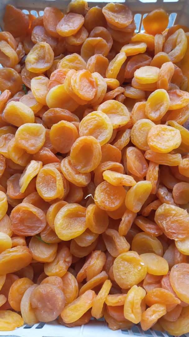 خشکبار طالب پور در مرند