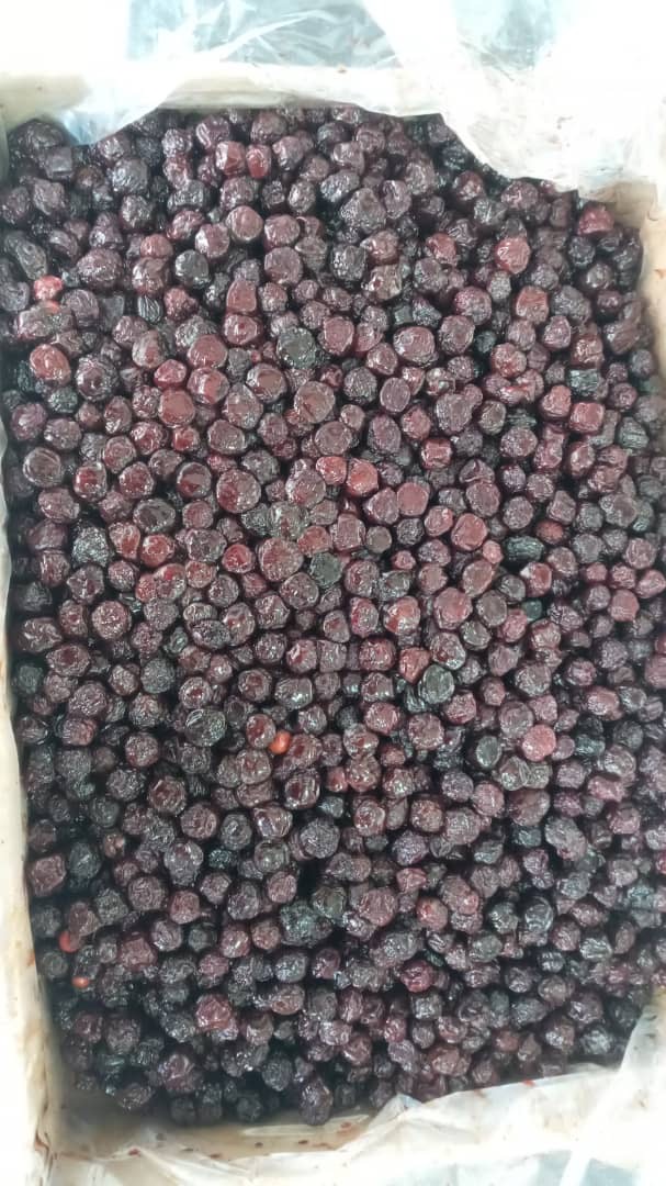 خشکبار طالب پور در مرند