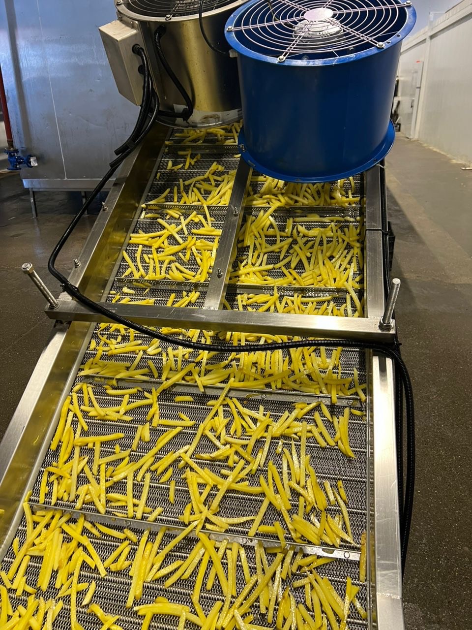 کارخانه تولیدی خلال سیب زمینی نیمه آماده منجمد صادقی زاده در گرگان