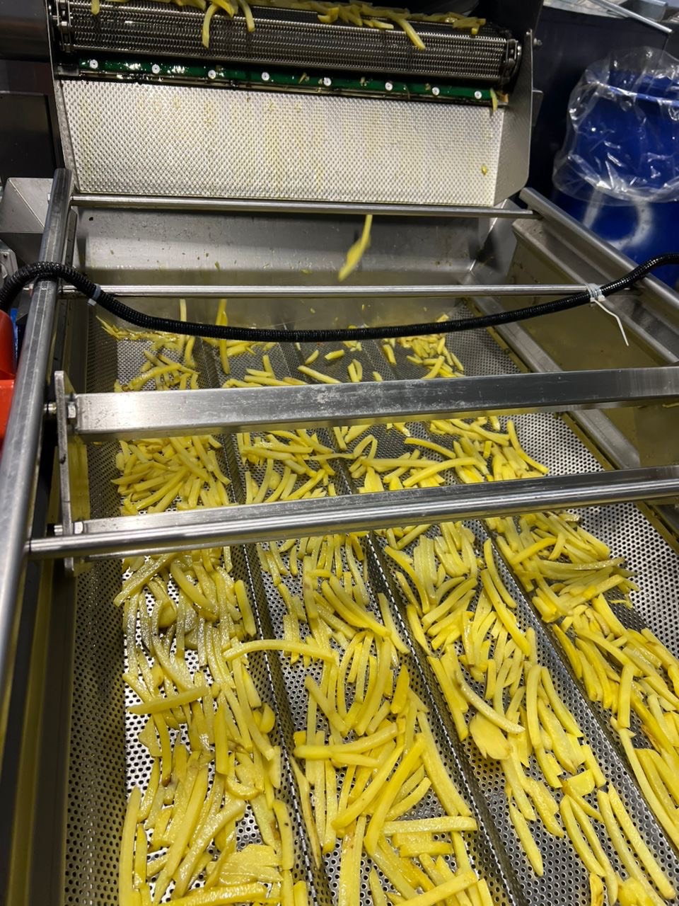 کارخانه تولیدی خلال سیب زمینی نیمه آماده منجمد صادقی زاده در گرگان