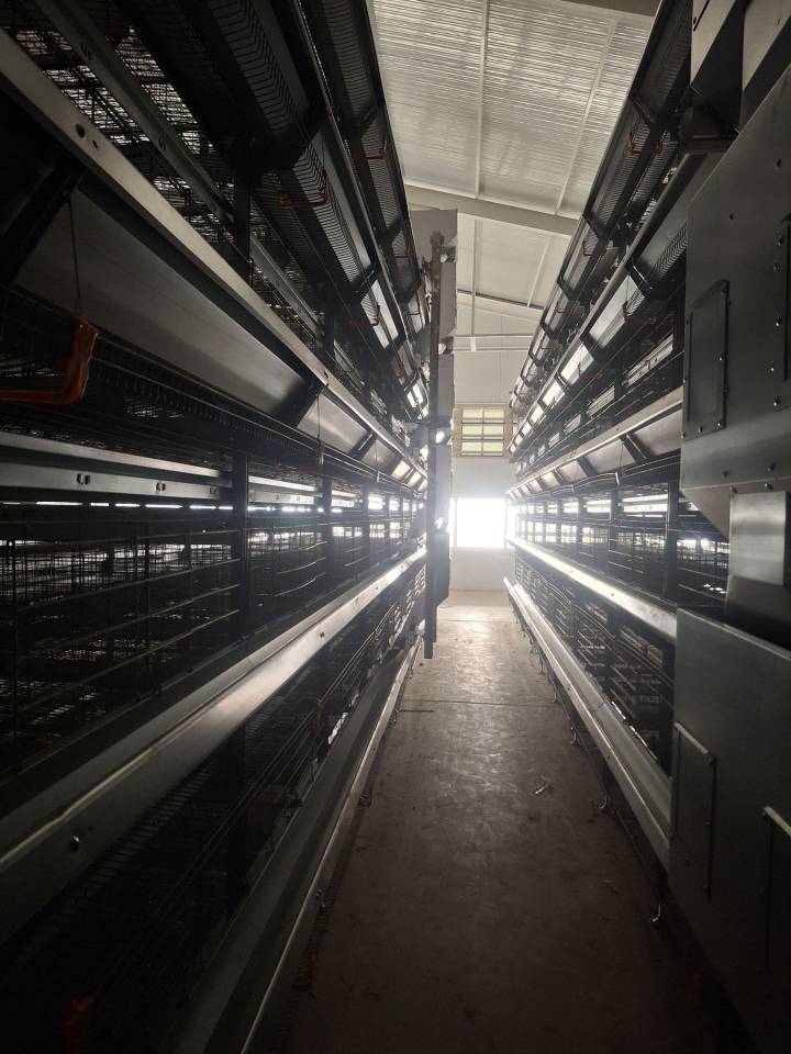 فروش صفر تا صد تجهیزات مرغداری قهرمانی در قزوین