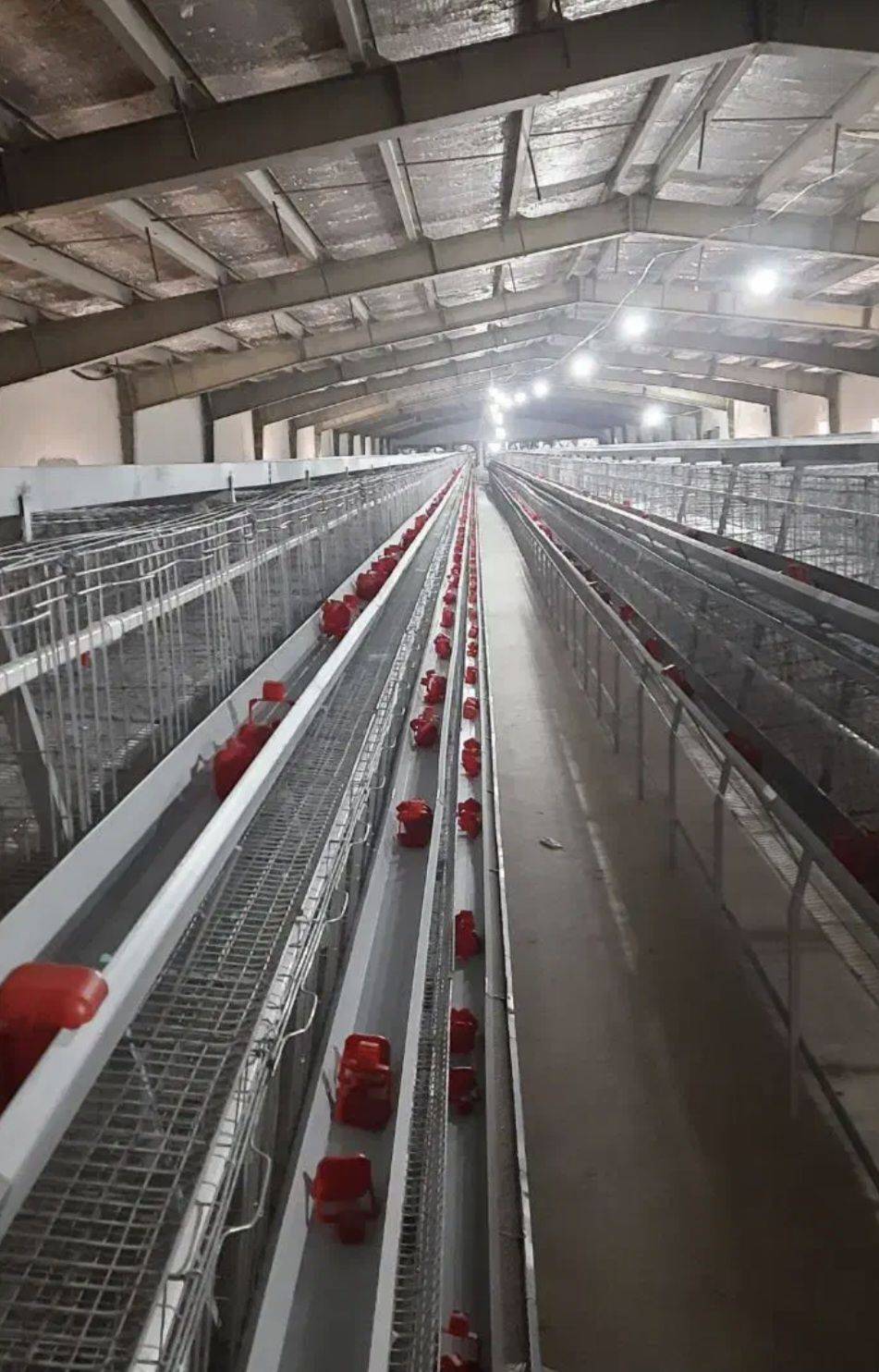 فروش صفر تا صد تجهیزات مرغداری قهرمانی در قزوین