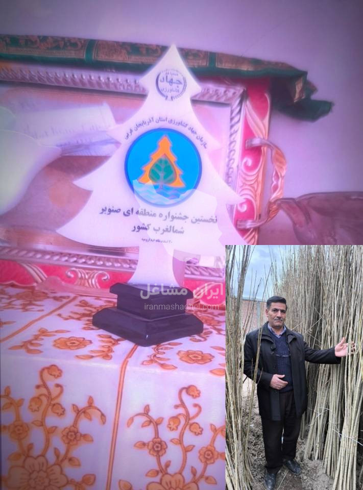 فروش عمده و خرده نهال سهند نهال یک مهندس محمدوش در میاندوآب