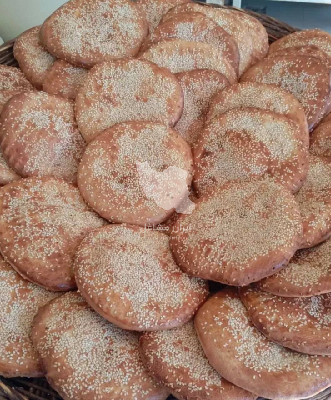 فتیرپزی خوشه طلا در اراک