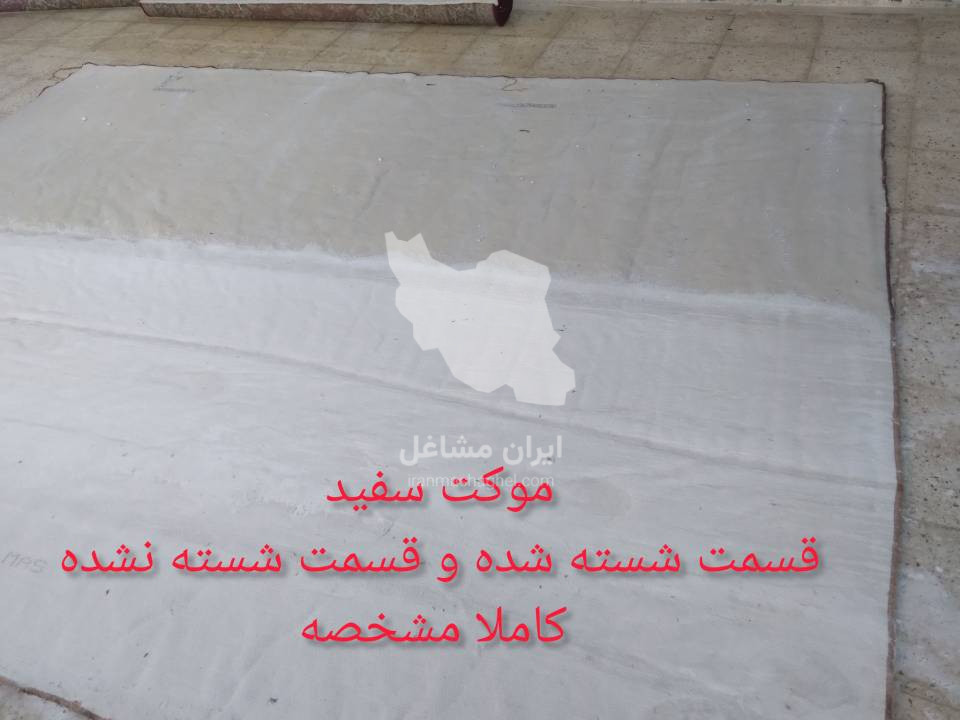 قالیشویی تمام اتوماتیک داریوش در استانه اراک