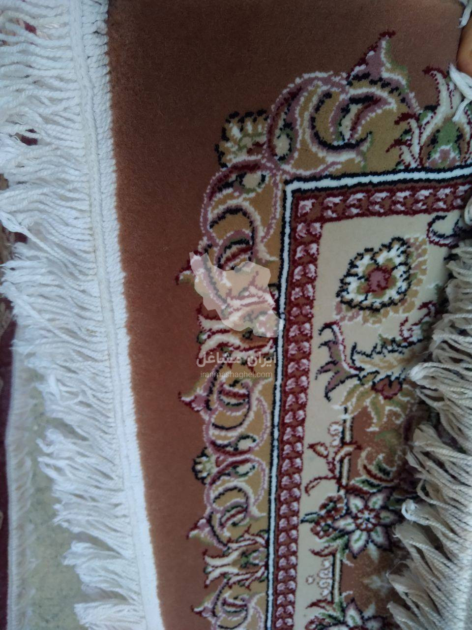قالیشویی تمام اتوماتیک داریوش در استانه اراک