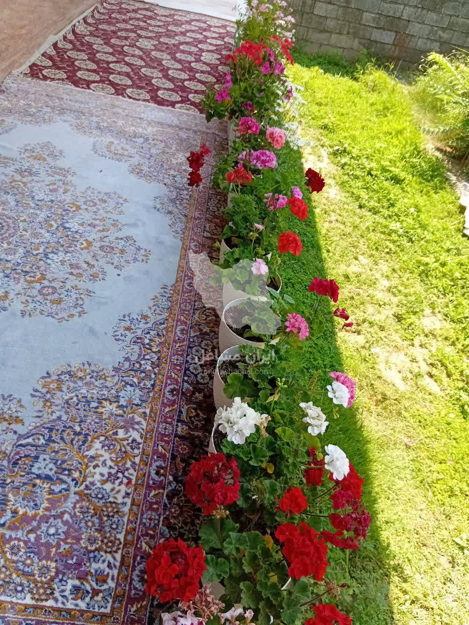 اجاره ویلا دربستی داریوش در تالش