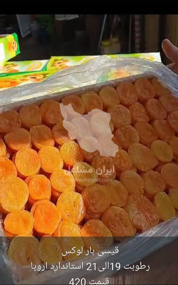 فروشگاه آجیل و خشکبار بهارچین نهاوند در بندرانزلی