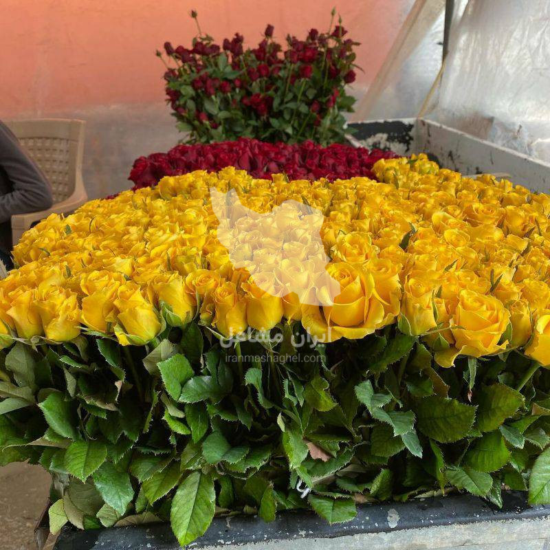 ساخت و فروش تجهیزات گلخانه آوین سازان جهان سبز در بندرعباس