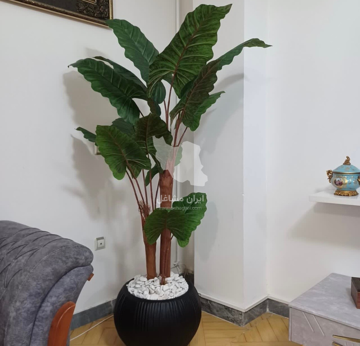 تولید و فروش عمده درختچه مصنوعی وارداتی گلدان ژورنالی خالقی در ساری