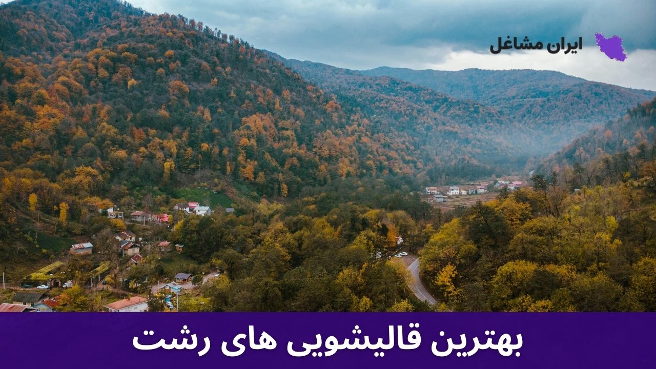 بهترین قالیشویی های رشت