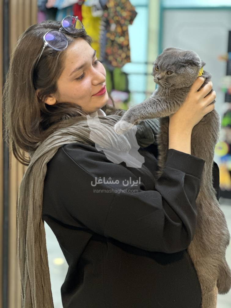 کلینیک حیوانات خانگی هپی پت در تبریز