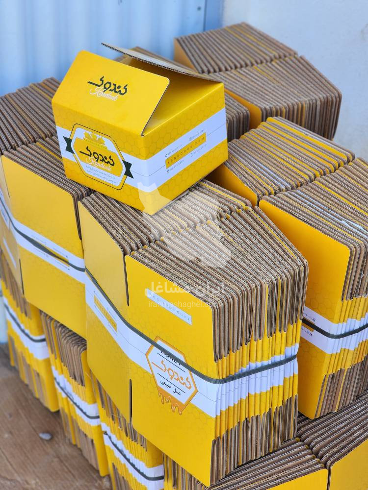 تولید و فروش کارتن صنعتی و پستی صادقی در رشت