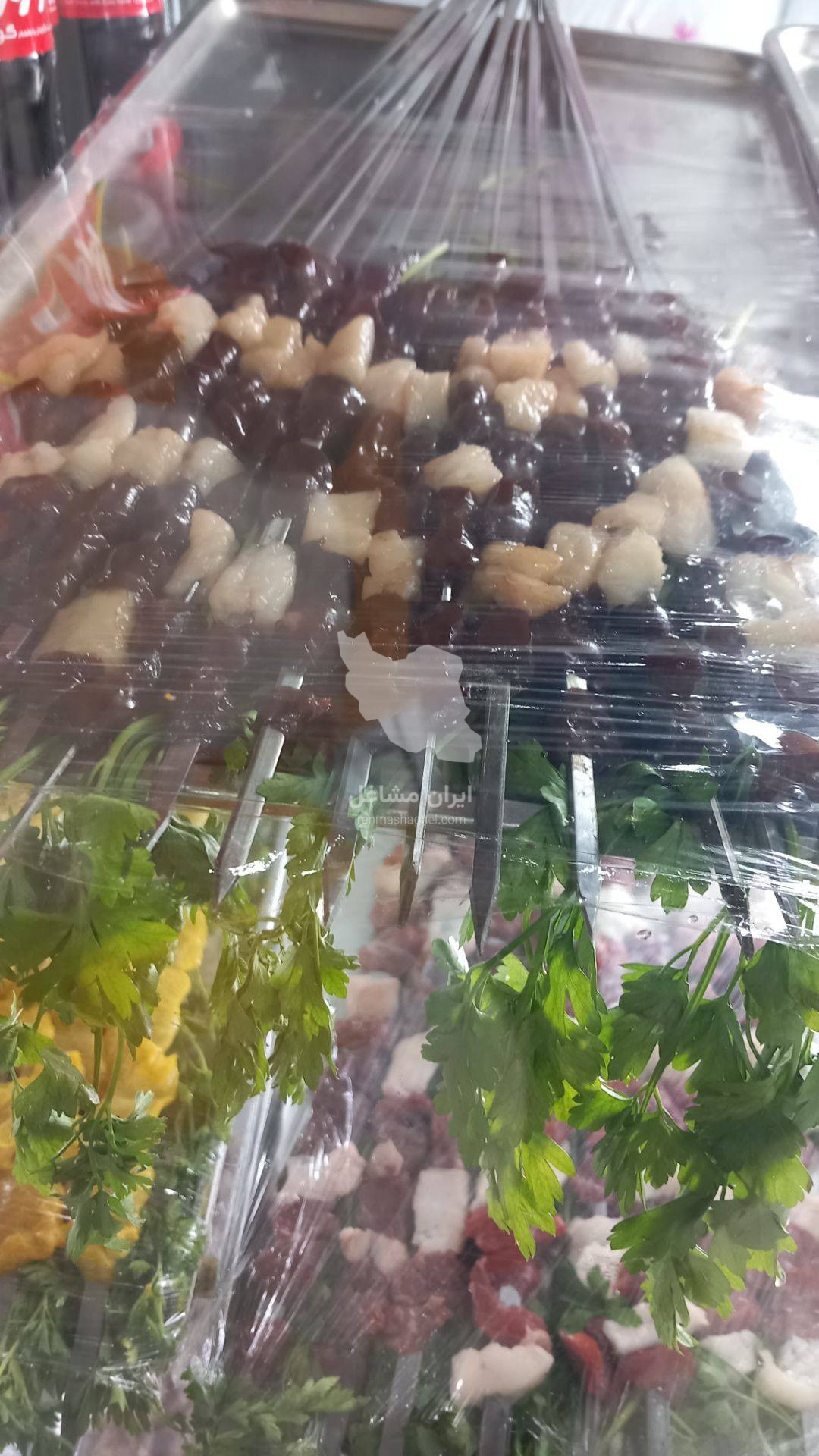 کبابی و جگرکی بره طلا در سیرجان