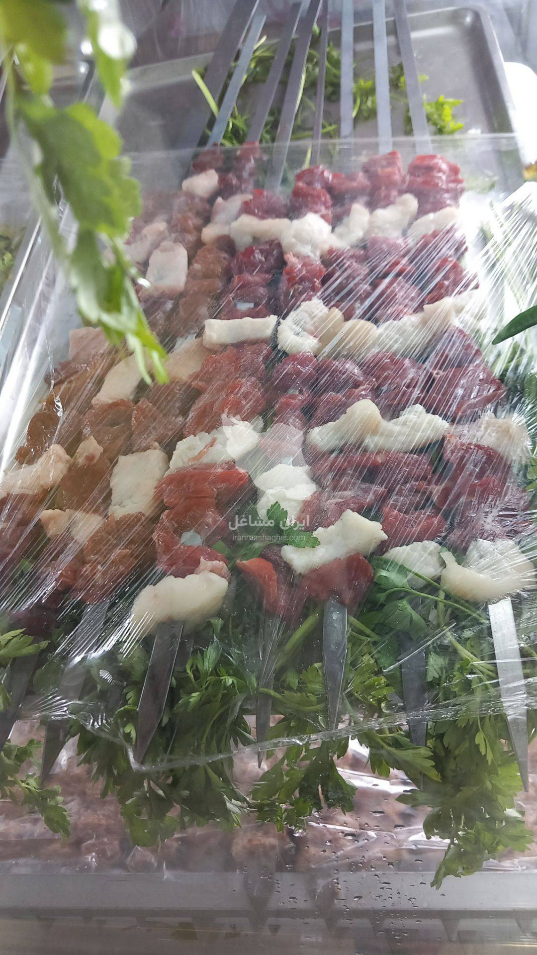 کبابی و جگرکی بره طلا در سیرجان