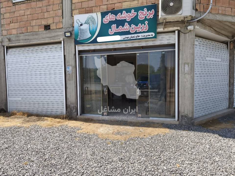 پخش و فروش عمده برنج خوشه های زرین شمال بهمنی در سمنان