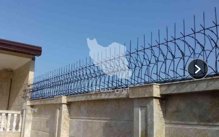 تولید حفاظ شاخ گوزنی کاج غلامپور در بابلسر