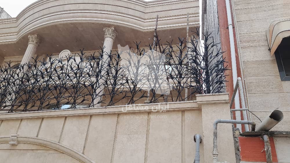 تولید حفاظ شاخ گوزنی کاج غلامپور در بابلسر