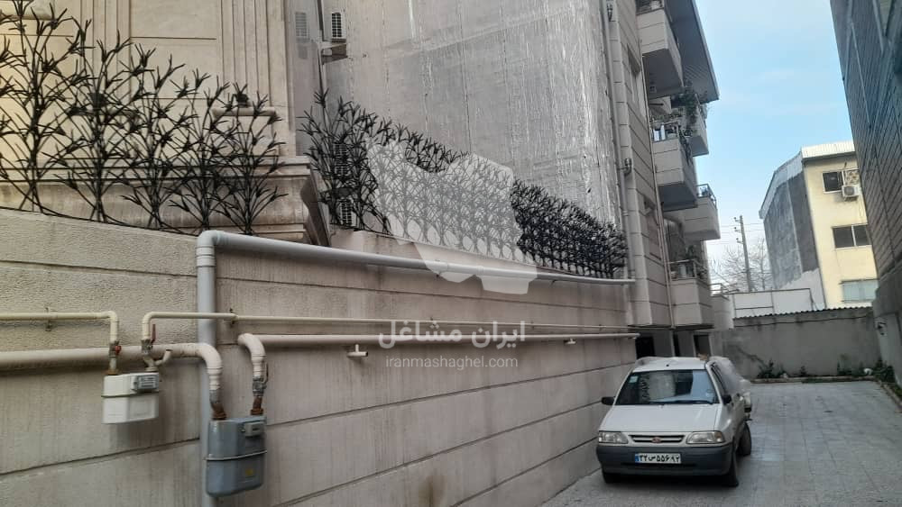 تولید حفاظ شاخ گوزنی کاج غلامپور در بابلسر
