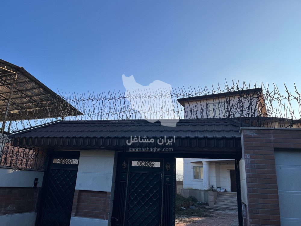 تولید حفاظ شاخ گوزنی کاج غلامپور در بابلسر