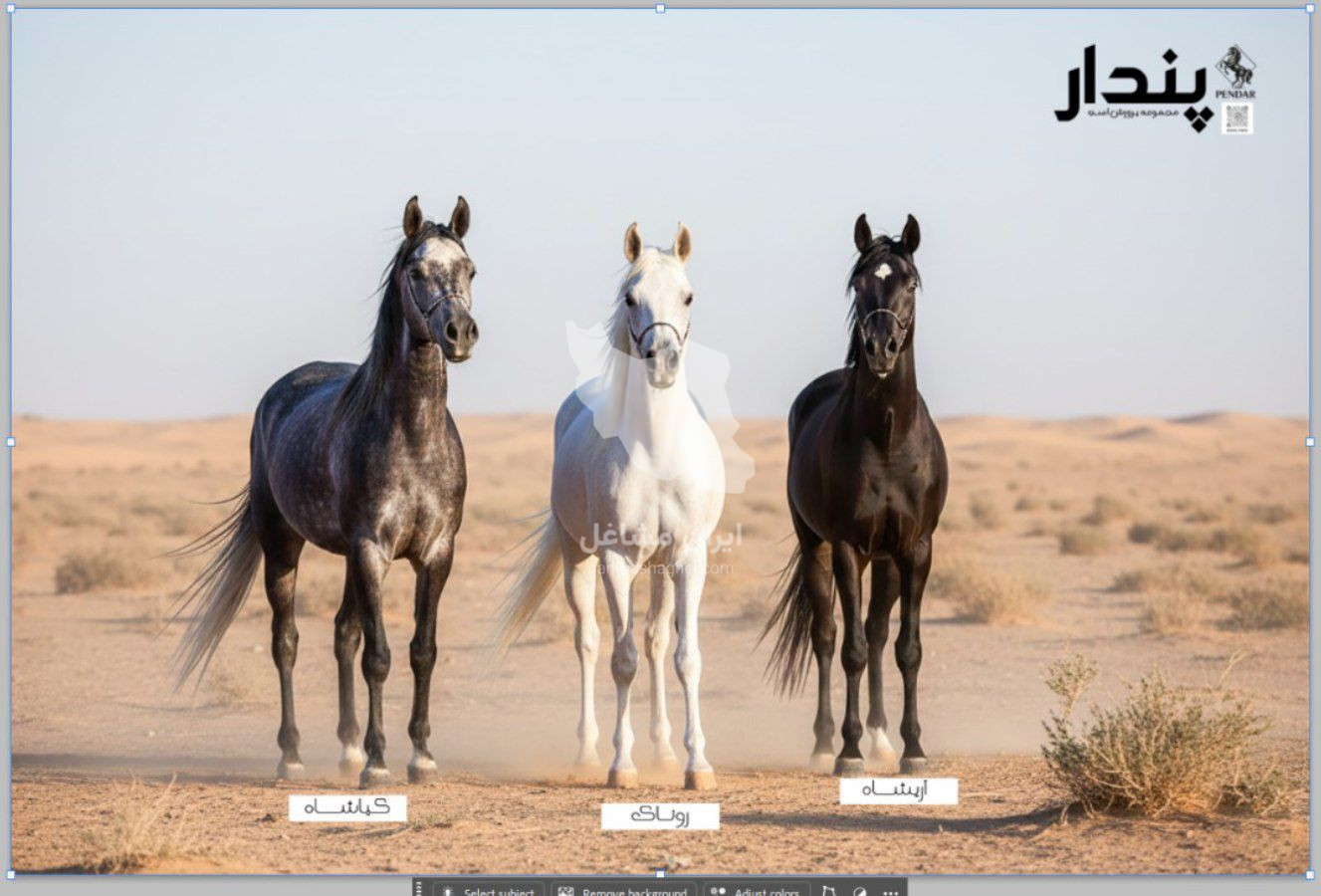 مرکز پرورش و نگهداری اسب پندار در سیرجان