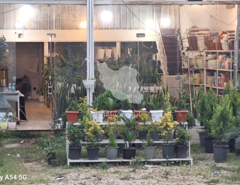 مجموعه گل و گیاه و گلدان سرای اورنگ در آستارا