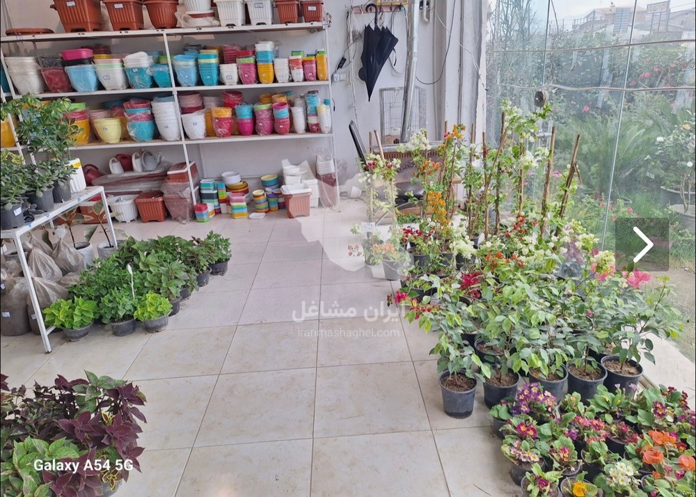 مجموعه گل و گیاه و گلدان سرای اورنگ در آستارا