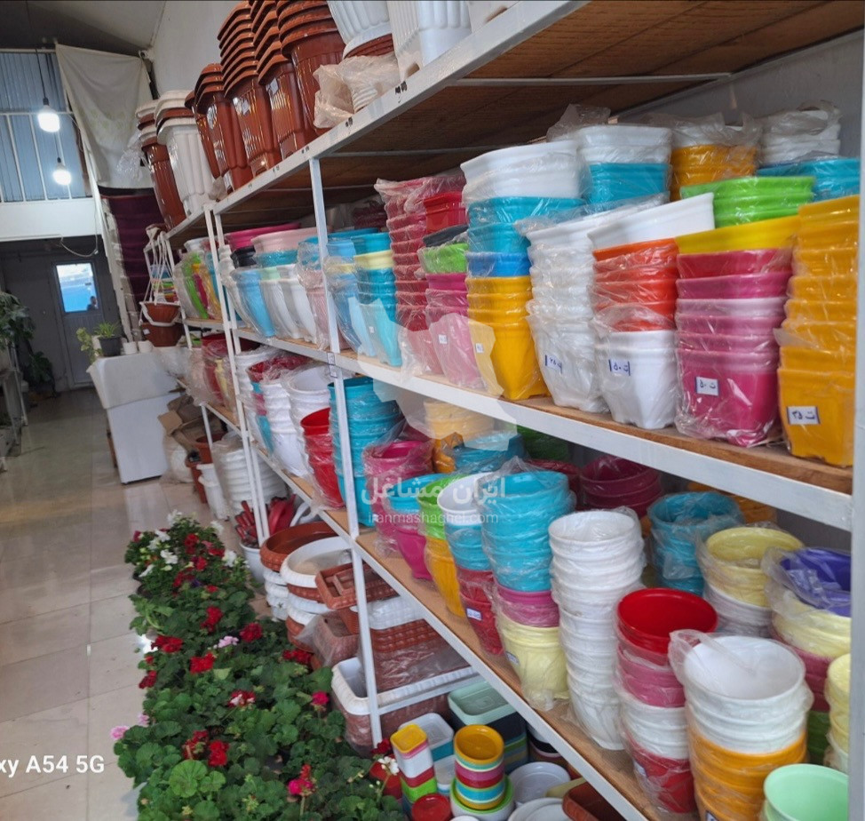 مجموعه گل و گیاه و گلدان سرای اورنگ در آستارا