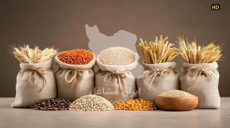 تولید و فروش دستگاه بسته بندی خشکبار و حبوبات پک لوازم فتح الهی در کرج