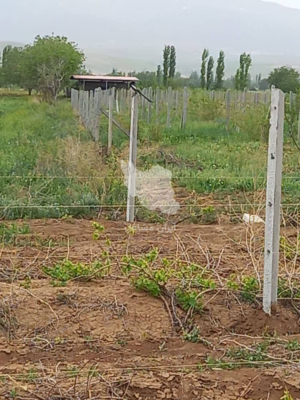 ساخت و نصب پایه و ستون بتنی باغی نوری در ابهر