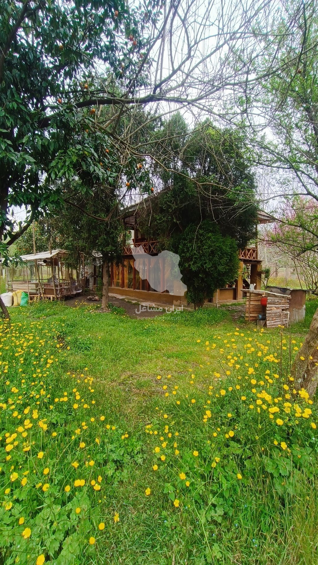 اجاره کلبه جنگلی روستایی سنتی ورگ دره در ماسال