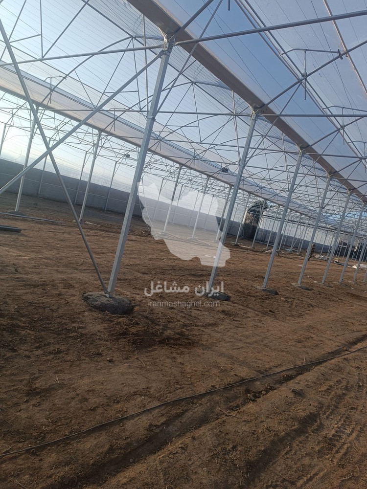 فروش و اجرا سازه گلخانه نو دست دوم آوین سازان جهان سبز در بروجرد