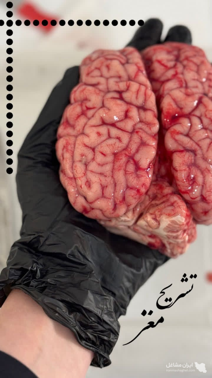 مرکز آموزشی زیست فناوری ویراژن در بوشهر