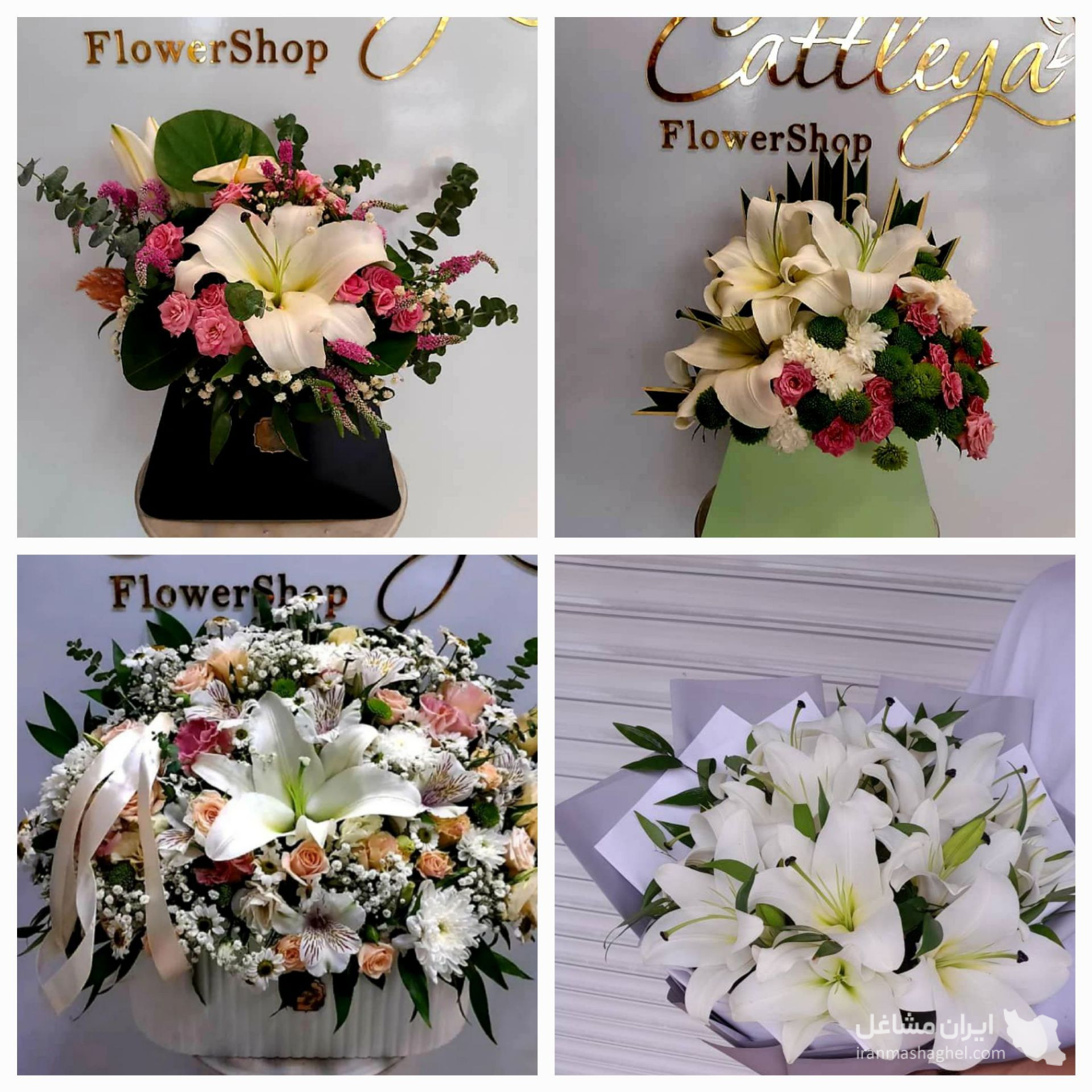 گل فروشی کاتالیا در رشت