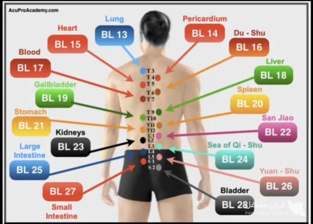 خدمات طب سنتی و ماساژ حرفه ای سلامت خانه صداقت در رباط کریم