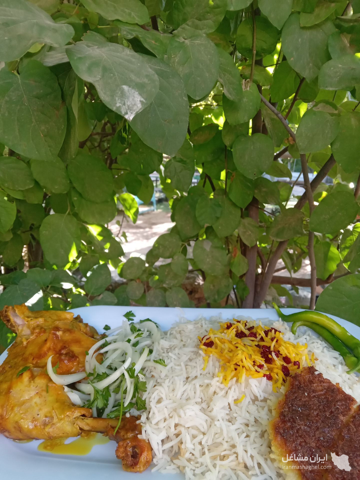 اقامتگاه بومگردی پدر در امرودک مشهد