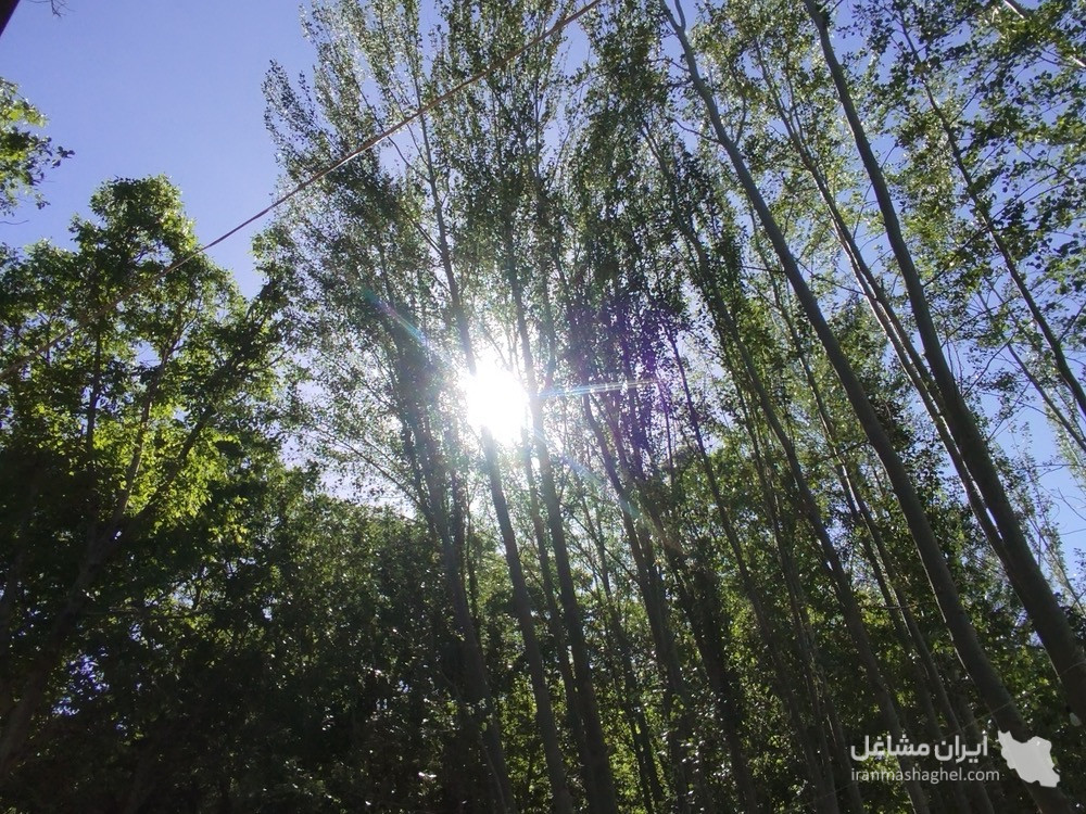 کمپ گردشگری آسمان بمدیریت علیرضا عرب در روستای تاریخی یاسه چای سامان