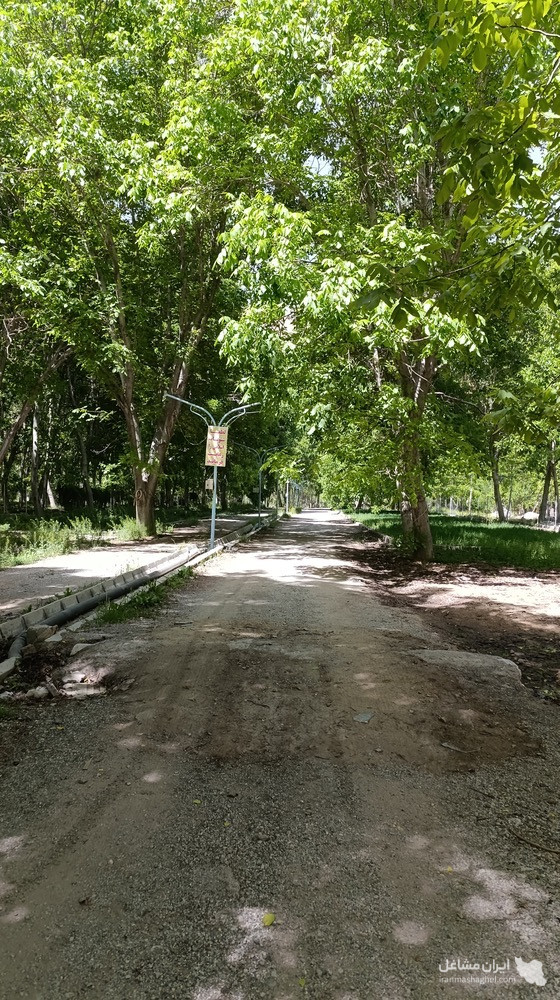 کمپ گردشگری آسمان بمدیریت علیرضا عرب در روستای تاریخی یاسه چای سامان