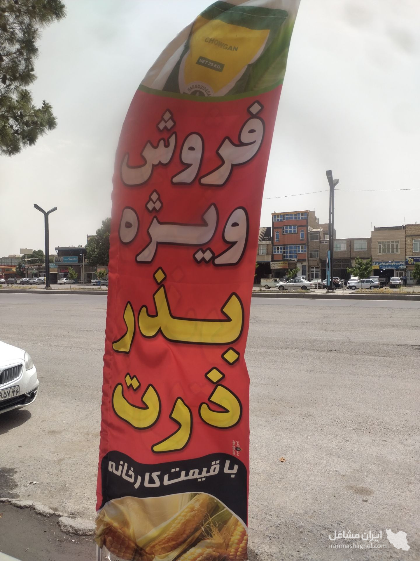 دفتر کشاورزی و پخش خوراک دام دشتی در چناران