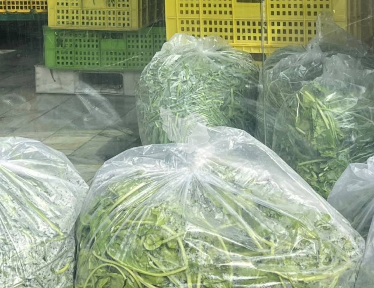 شرکت پخش سبزی عظیمی نژاد در مهرشهر کرج