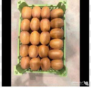 DIAR KIWI – दिल्ली के लिए ताज़ा और ऑर्गेनिक ईरानी कीवी का सीधे निर्यात और बिक्री