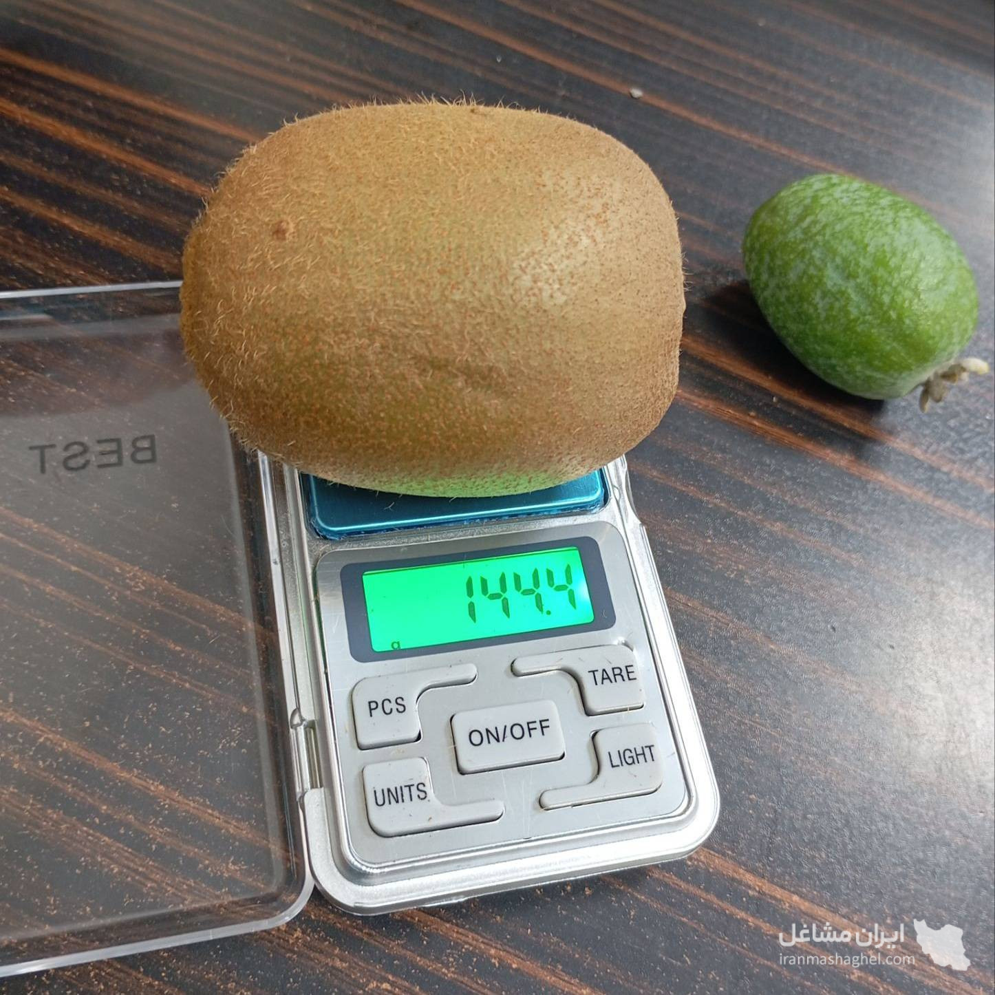 DIAR KIWI – दिल्ली के लिए ताज़ा और ऑर्गेनिक ईरानी कीवी का सीधे निर्यात और बिक्री