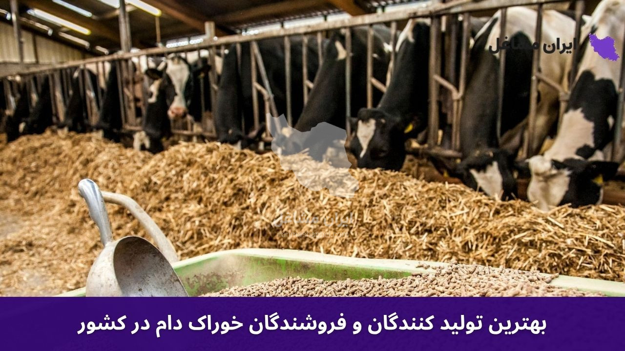 بهترین تولید کنندگان و فروشندگان خوراک دام در کشور