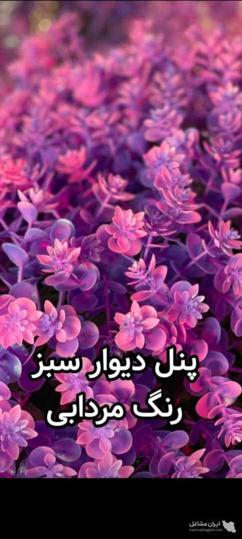 دنیای چمن مصنوعی نیک اختر چابهار
