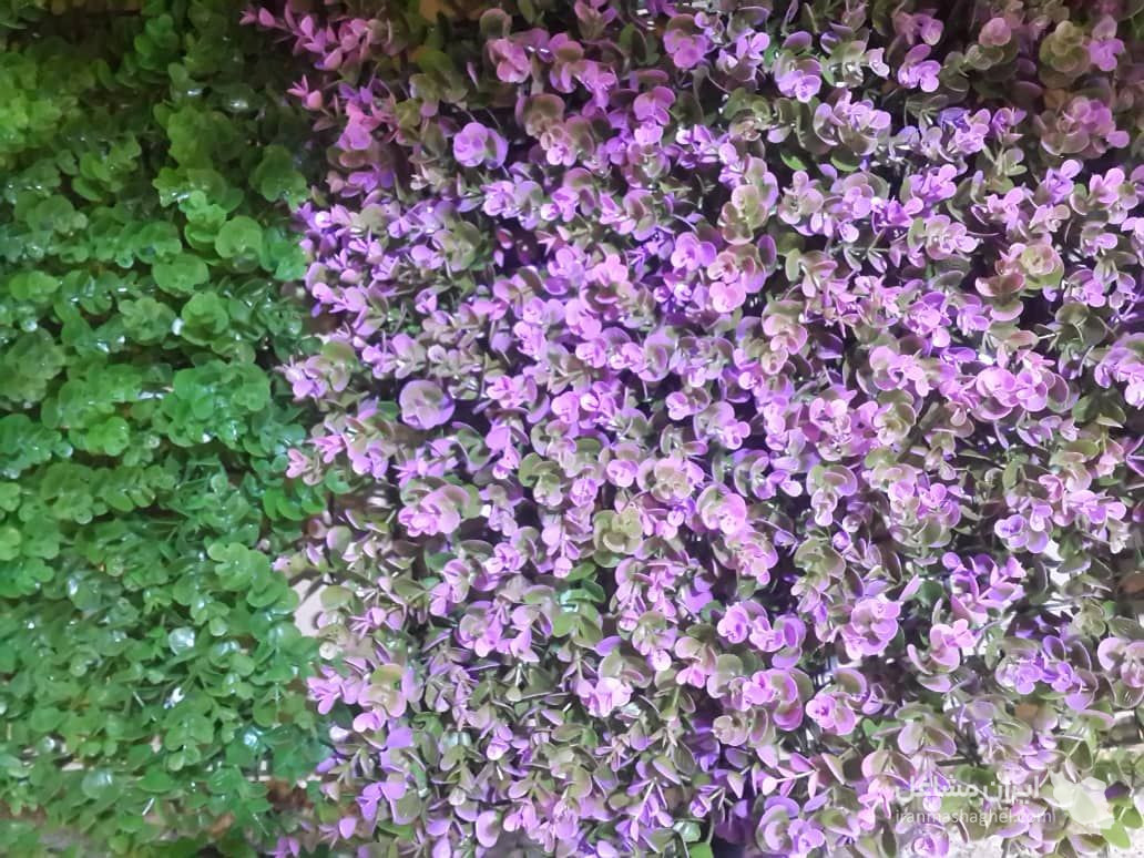 دنیای چمن مصنوعی نیک اختر چابهار