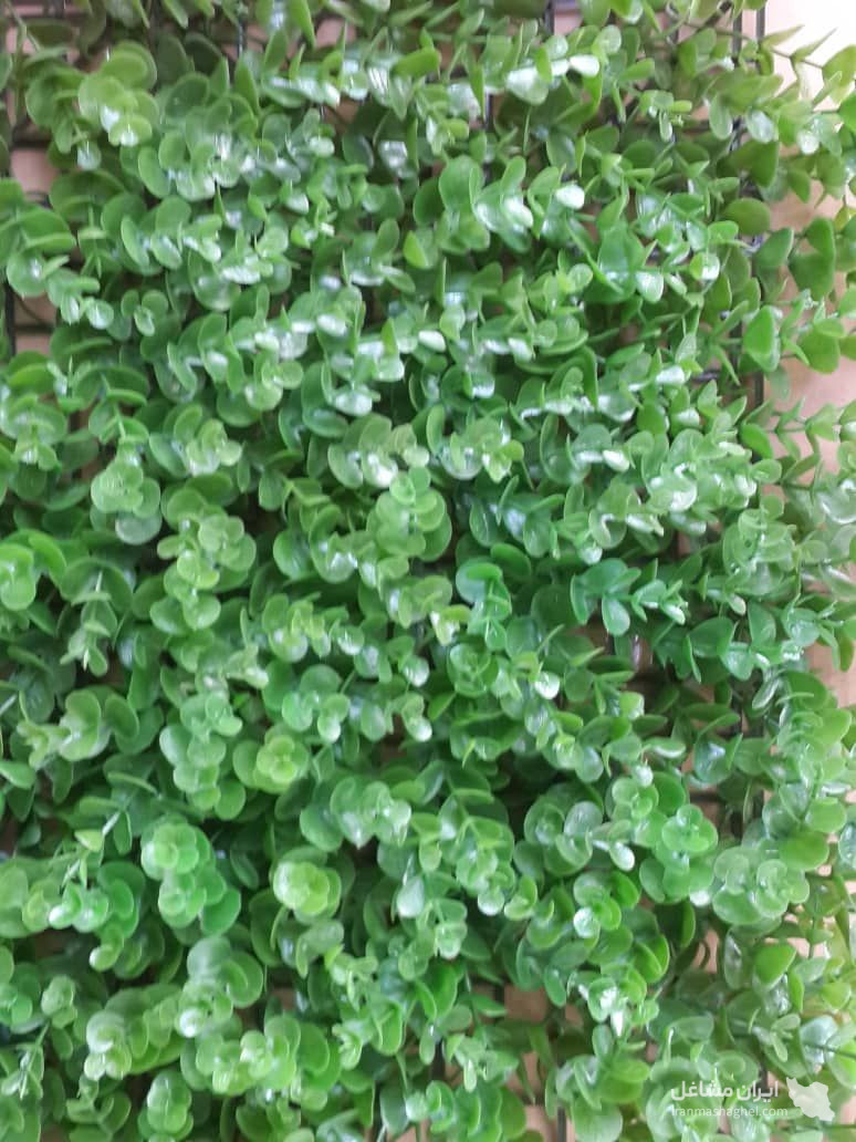 دنیای چمن مصنوعی نیک اختر چابهار