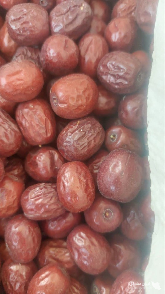 عمده فروشی و پخش زرشک و حبه عناب زرکار در شیراز